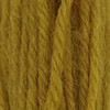 Appletons Crewel Wool Skein Shade 843
