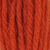 Appletons Crewel Wool Skein Shade 994