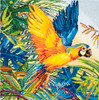 Large Parrot Printed Cross Stitch Kit By Trimits