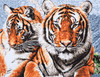 Extra Large Tiger Printed Cross Stitch Kit by Trimits