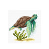 Tortoise Counted Cross Stitch Kit By Orchidea