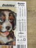 Bernese Mountain Dog Tapestry Canvas only by Orchidea