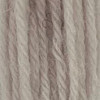 Appletons Tapestry Wool Skein Shade 883