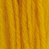 Appletons Tapestry Wool Skein Shade 554