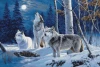 The Howl of Wolves and the Winter Moon Cross Stitch Kit by Luca S GOLD