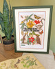 Magic Of Mother Nature Cross Stitch Kit by Zoological Society Of London