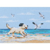 Dog Running On The Beach Counted Cross Stitch Kit by RTO