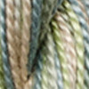 Coton Perle Colour Variations  Size 5: 1 x 25m Skein - 4065