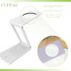 Magnifying Light: Ultra-Bright: Portable: Zed