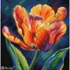 Spring Awakening - Vibrance Counted Cross Stitch Kit by Merejka