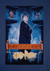 Harry Potter Cross stitch Frame Kit By DMC