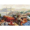 Istanbul's Cats Counted Cross Stitch Kit By Riolis