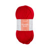 Knitting Yarn: Double Knitting: 1 X 100G:  Red