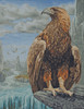 3D Eagle Cross Stitch Kit