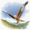 Red Kite In Flight Cross Stitch Kit