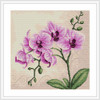 Orchid Cross Stitch Kit By Luca S