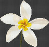 Plumeria Flower Cross Stitch Kit