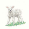 Lamb Cross Stitch Kit For Beginners