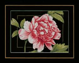 Pink Rose Cross Stitch Kit by Lanarte