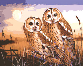 Owls by Moonlight Canvas only By Grafitec