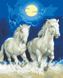 Moonlight Gallop Canvas only By Grafitec