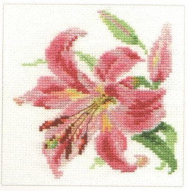 Lily Cross Stitch Kit by Alisa