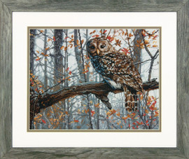 Wise Owl Cross Stitch Kit By Dimensions