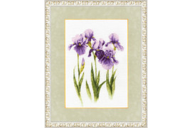 Water-color Irises Cross Stitch Kit by Golden Fleece