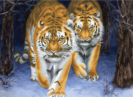 Stalking Tigers No Count Cross Stitch Kit By Riolis