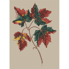 Acer Rubrum Cross Stitch Kit by Clarissa Badger