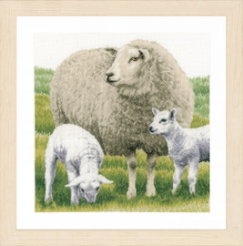 Counted Cross Stitch Kit: Sheep (Evenweave) By Lanarte