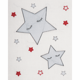 Embroidery Kit with Hoop: Baby Sets: Stars By Anchor