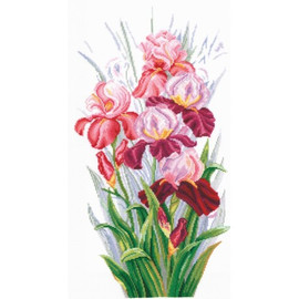 TRIUMPH OF IRISES-cross stitch kit by Andriana