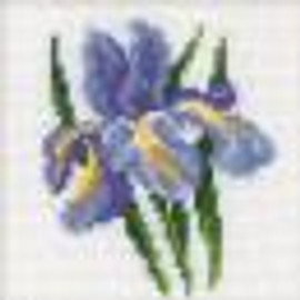 Iris Flower Counted Cross Stitch Kit 4"X4" by RTO