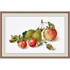 Apples Cross Stitch Kit By Oven