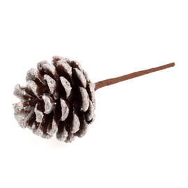 Pick: Pinecone: Snow Frosted: 12 x 1 Stick