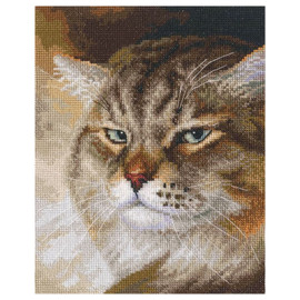 Sly And Extremely Beautiful Counted Cross Stitch Kit by RTO