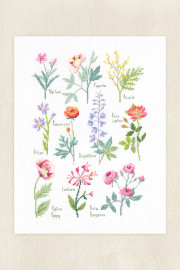 Botanical Sampler by Nathalie Weinzaepflen Cross Stitch Kit by DMC