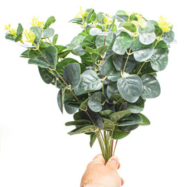 Eucalyptus Bush Green by Peakdales