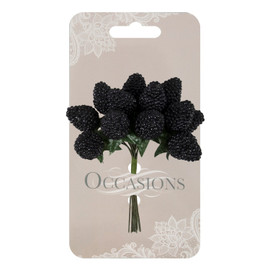 Blackberry: 12 Berries per Bunch by Occasions