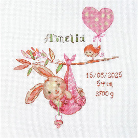 Girl Birth Sampler Counted Cross Stitch Kit by Aine Girl Birth Sampler Counted Cross Stitch Kit by Aine