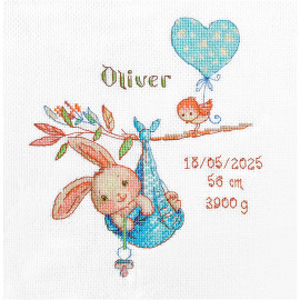 Boy Birth Sampler Counted Cross Stitch Kit by Aine Boy Birth Sampler Counted Cross Stitch Kit by Aine