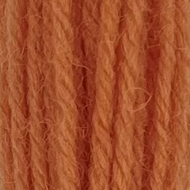 Appletons Crewel Wool Skein Shade 854