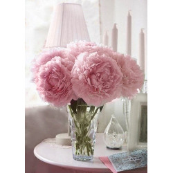 Soft Peonies Diamond Painting By Wizardi