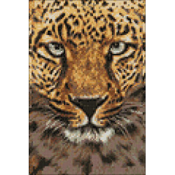 Cheetah Diamond Painting By Wizardi