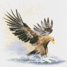 Eagle In Flight Cross Stitch Kit