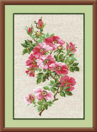 May Wild Rose Cross Stitch Kit