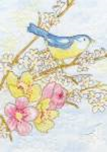 Dream Bird Cross Stitch Kit by Bothy Threads