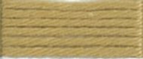 2421 - DMC Soft Cotton Thread Art 89