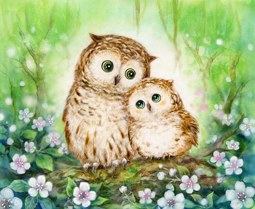 Mother and Baby Owl Canvas only By Grafitec